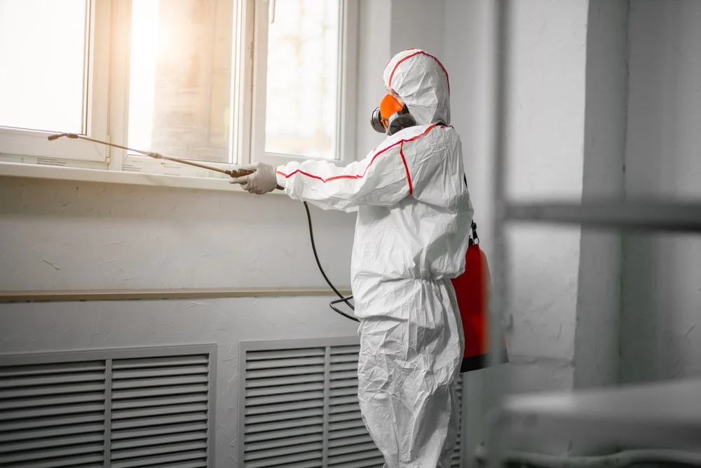 Professional mold remediation services in Henderson, CO